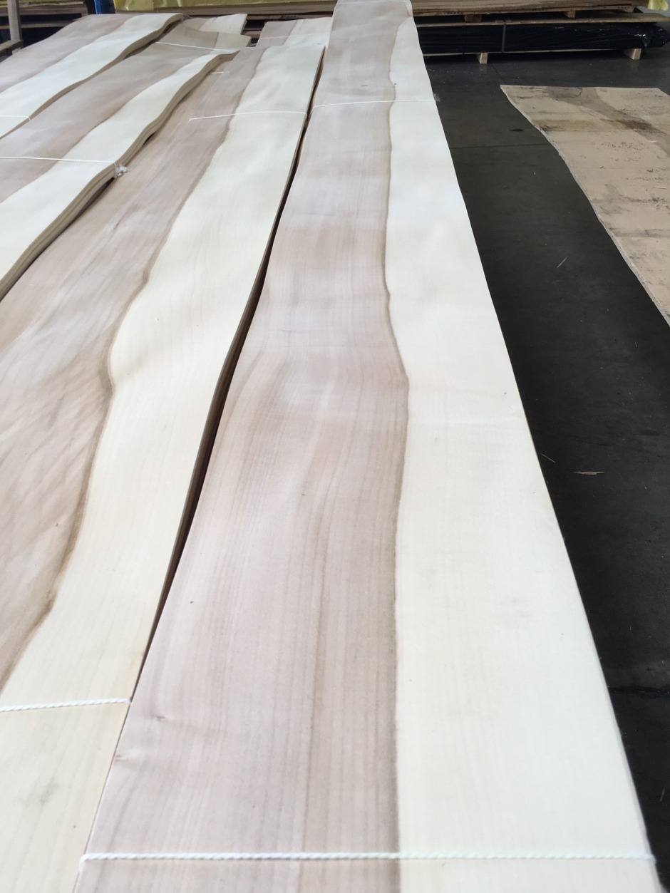 (19.06.17) Acero cuorato 0.06 (1).JPG