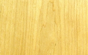 Ciliegio Americano