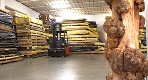 Unser Hauptsitz in Montecchio